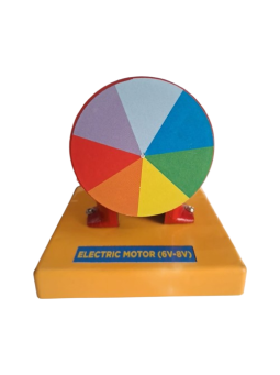 ELECTRIC MOTOR