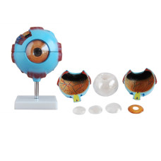  XC-316 Giant Eye Model
