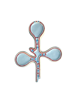 TRNA MODEL