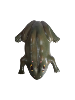 FROG EXTERNA