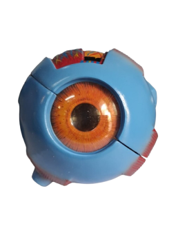 GIANT EYE MODEL