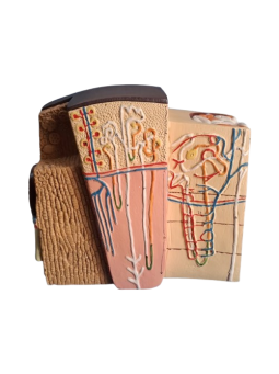 KIDNEY MICROSTRUCTURE