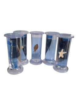 SPECIMEN BOTTLE MODEL